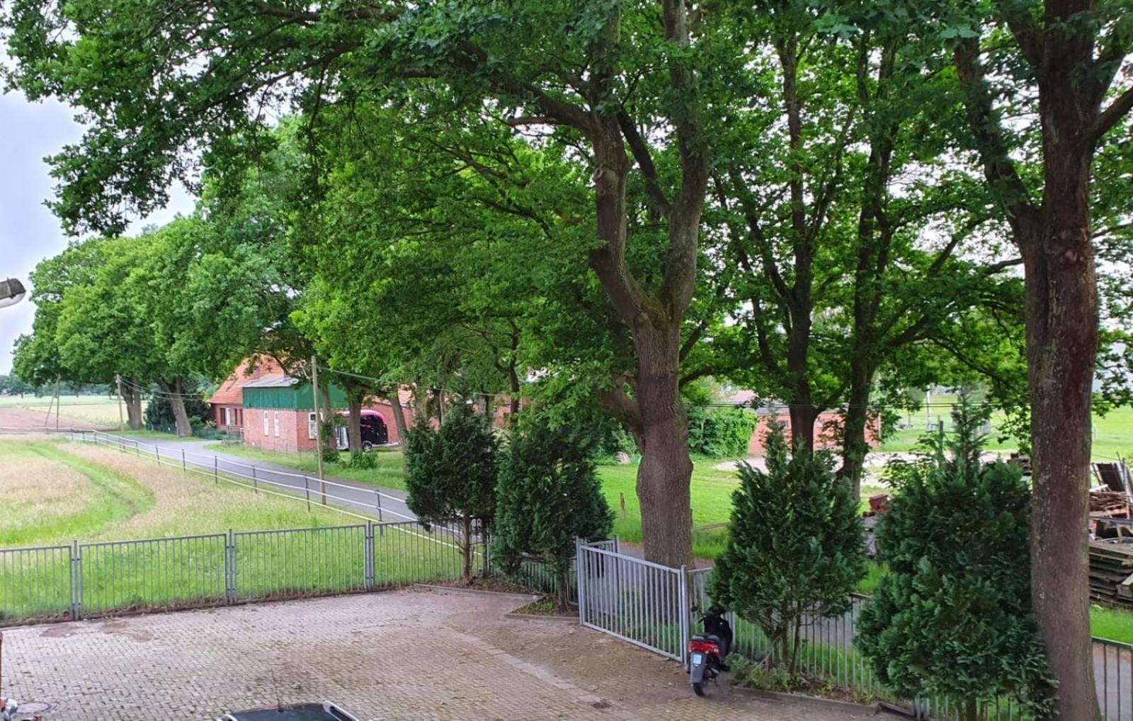 Grosse Loft In Idyllischer Lage デルメンホルスト エクステリア 写真